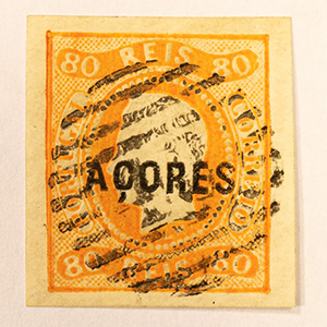 Molwitz & Treff gallery