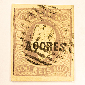 Molwitz & Treff gallery