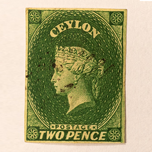 Molwitz & Treff gallery