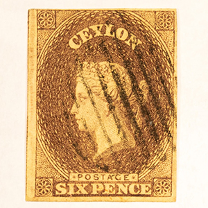 Molwitz & Treff gallery