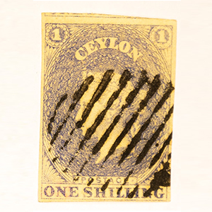 Molwitz & Treff gallery