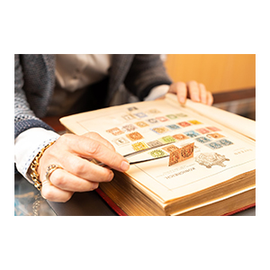 Molwitz & Treff gallery